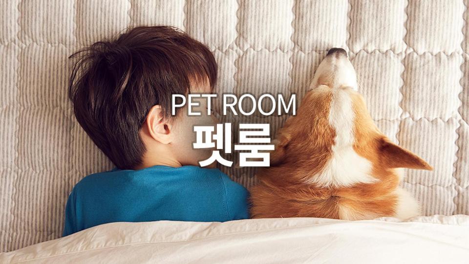 Pyeongchang The White Hotel מראה חיצוני תמונה